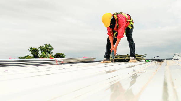 Roof Moss and Algae Removal in Bloomington, IN